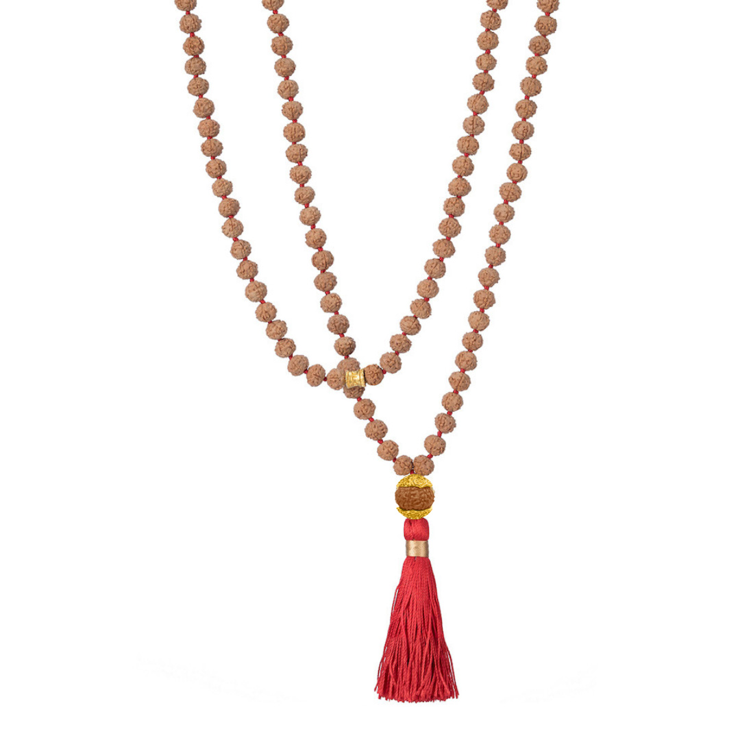 Sannyasi ceremony with Mukhi