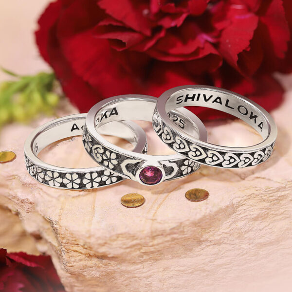 Nandi silver 3