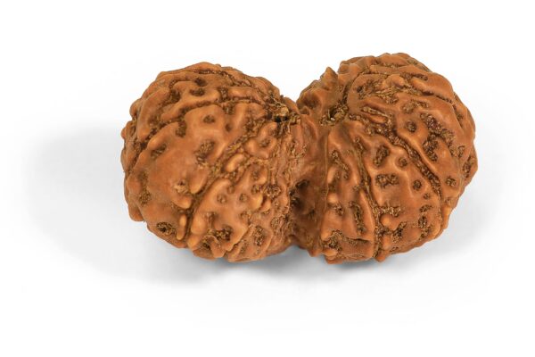 Gaurishankar Mukhi